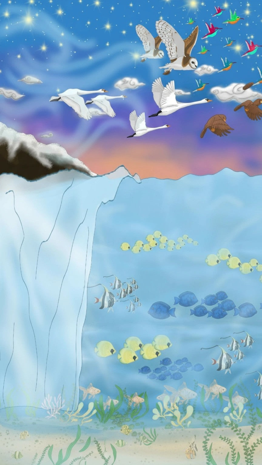 Cocuyos & Fireflies | Screensavers