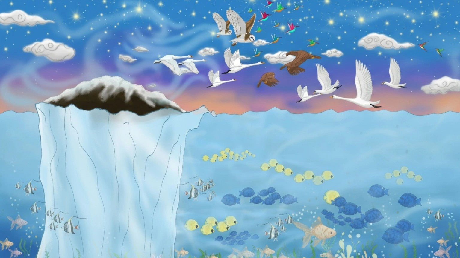 Cocuyos & Fireflies | Screensavers